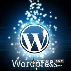 WordPress插件–ANR界资源快速提交插件 加速ANR界资源爬虫和收录-支持手动和批量提交 网络资源 图1张